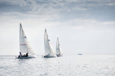 Yelkenli yarışı sırasında yelken açan bir grup yat.