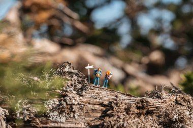 Turizm ve yürüyüş macerası konsepti