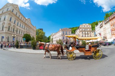 Karlovy Vary, Çek Cumhuriyeti - 25 Mayıs 2019: İki at arabaya bağlandı