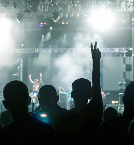 Crowd at concert — Stock Photo, Image