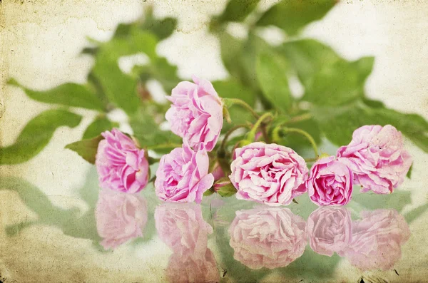 Κοντινό πλάνο σε ένα μάτσο τριαντάφυλλα ροζ — Φωτογραφία Αρχείου