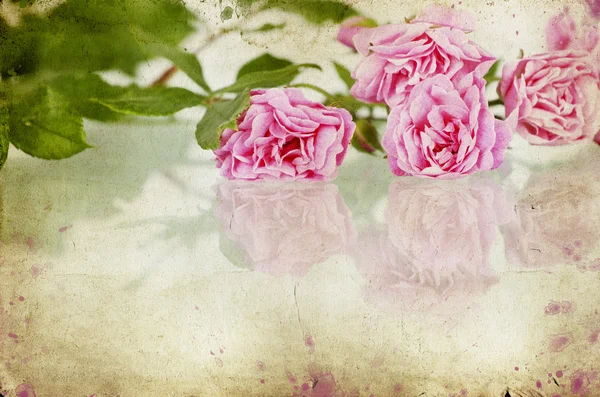 Nahaufnahme auf einem Strauß rosa Rosen — Stockfoto