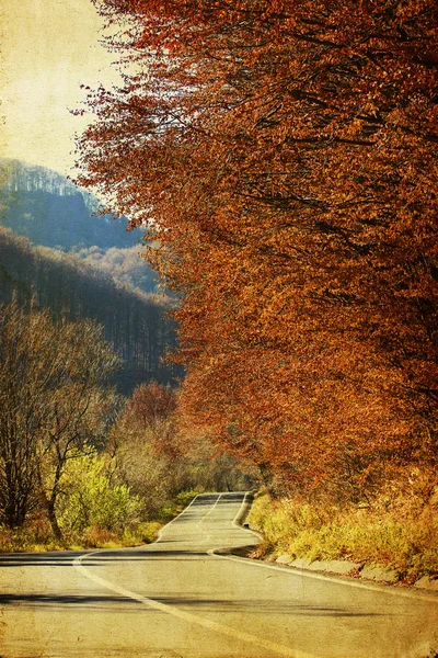 Herbstfarben — Stockfoto