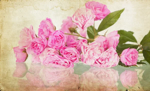 Rosas vintage —  Fotos de Stock