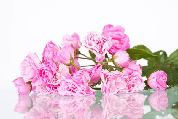 Närbild på en bounch av rosa rosor — Stockfoto