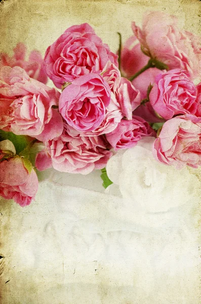 Vintage roses — Stock Photo, Image