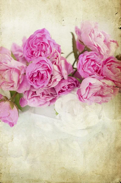 Roses Vintage — Photo