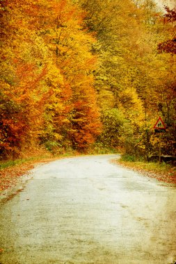sonbahar ormandaki dolambaçlı yol