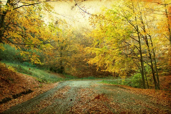 Estrada na floresta de outono — Fotografia de Stock