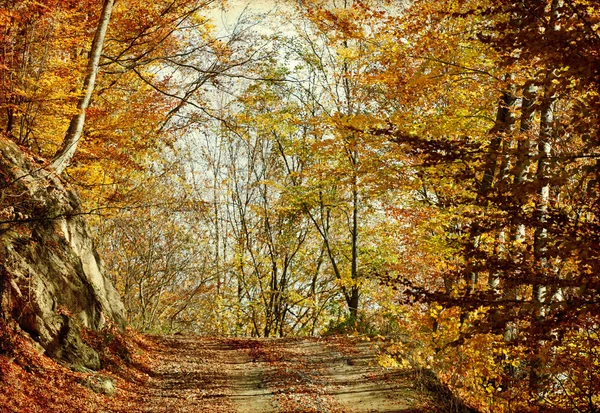 Route en forêt d'automne — Photo