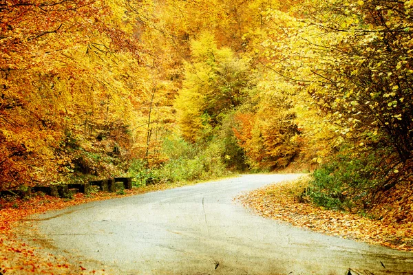 Camino en bosque de otoño — Foto de Stock