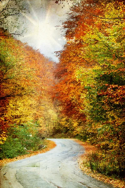 Straße im Herbstwald — Stockfoto