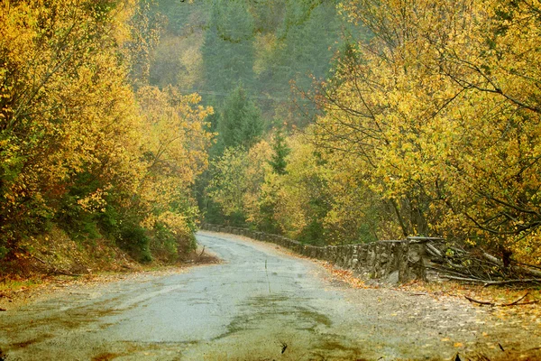 Estrada tortuosa na floresta de outono — Fotografia de Stock