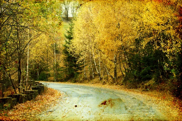 Tortuosa carretera en el bosque de otoño —  Fotos de Stock