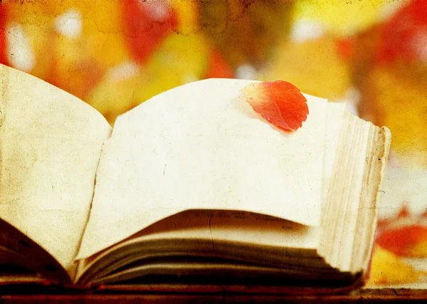 Vintage autumn background with a book — Stock Photo, Image