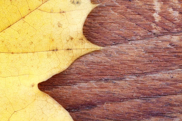 Struttura in foglia e legno — Foto Stock