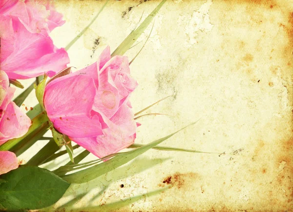 Roses roses sur fond vintage — Photo