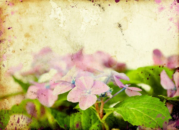 Flowers on vintage background — Stock Photo, Image
