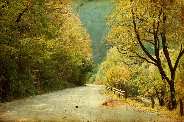 Estrada tortuosa na floresta de outono — Fotografia de Stock