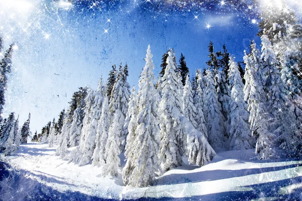बर्फ फायर झाडे ख्रिसमस पार्श्वभूमी — स्टॉक फोटो, इमेज