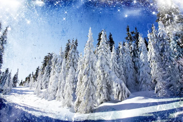 Weihnachten Hintergrund mit schneebedeckten Tannen — Stockfoto