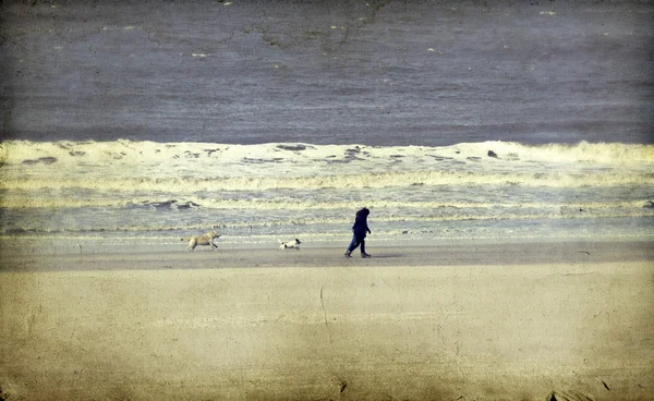 Vintage-Meereslandschaft von langen einsamen Strand mit goldenem Sand — Stockfoto