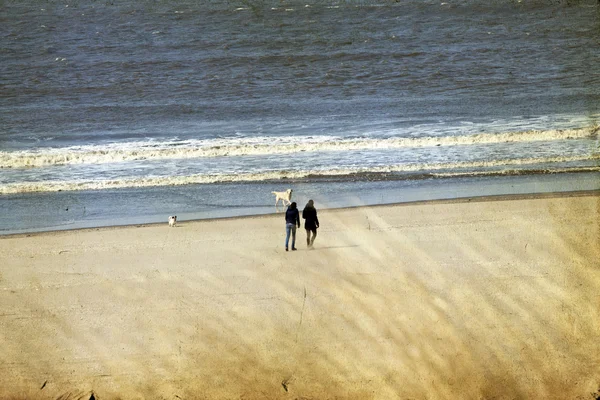 Vintage paisaje marino de larga playa desierta con arena dorada — Foto de Stock