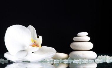 Spa ile beyaz orkide