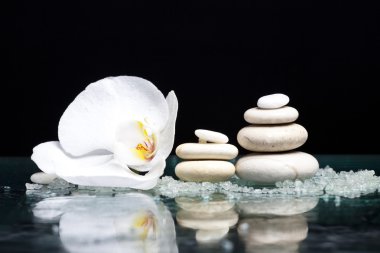 Spa ile beyaz orkide