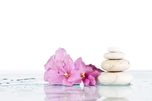 Spa with pink flowers — Stock Photo, Image