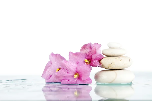 Spa con fiori rosa — Foto Stock