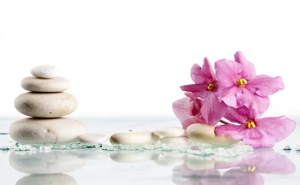Spa with pink flowers — Stock Photo, Image