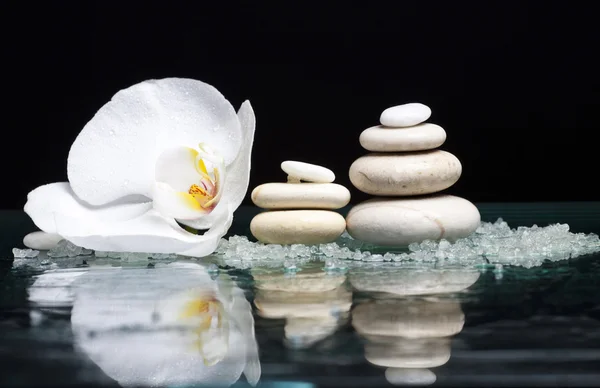 Spa con orquídea blanca — Foto de Stock