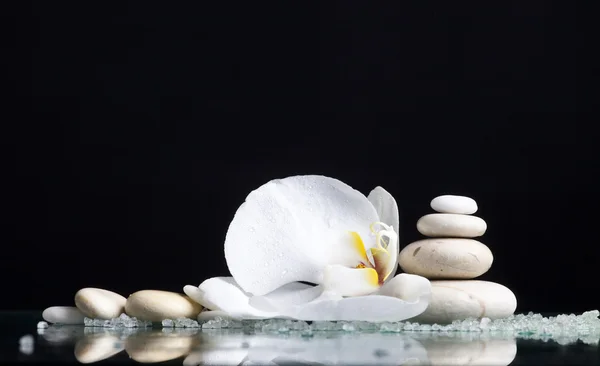 Spa with white orchid — Stock Photo, Image