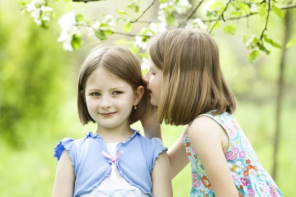 Girls playing in summer park — Stock Photo, Image