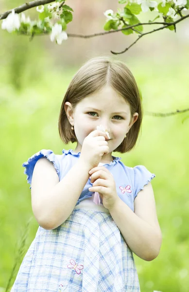 Menina loira bonita fora em um campo na primavera — Fotografia de Stock