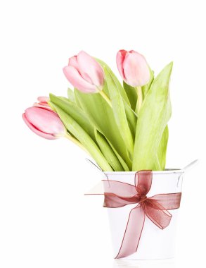 Beyaz arkaplanda pembe laleler