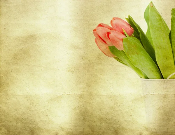 Vintage tulips — Stock Photo, Image