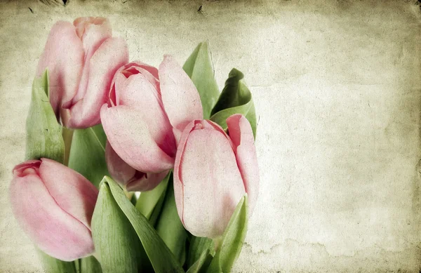 Винтажные тюльпаны — стоковое фото