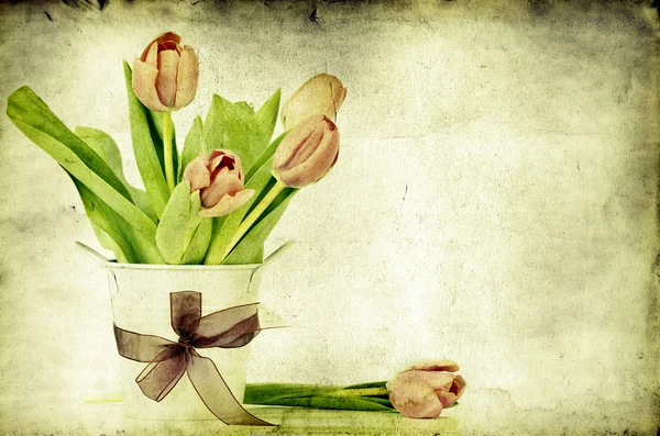 Vintage tulips — Stock Photo, Image