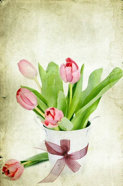 Tulipani vintage — Foto Stock