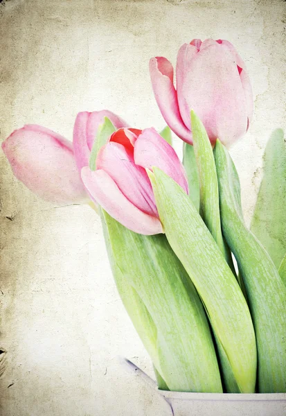 Vintage tulipán — Stock Fotó