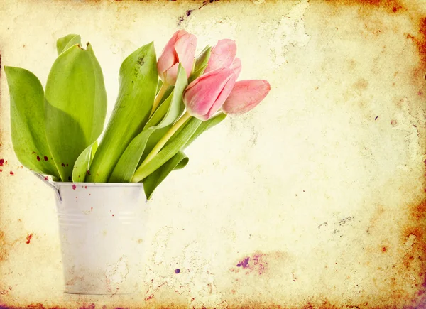 Vintage tulips — Stock Photo, Image