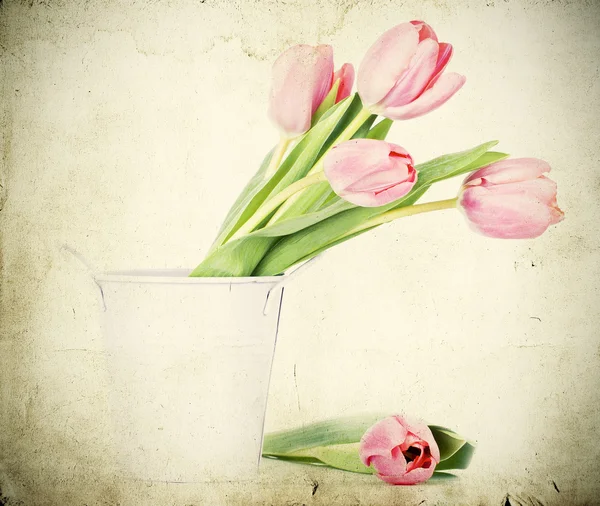 Vintage tulips — Stock Photo, Image