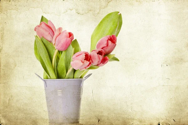 Vintage tulpen — Stockfoto