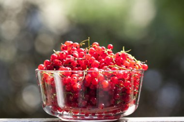 üzerinde kırmızı kuş üzümü yakın çekim