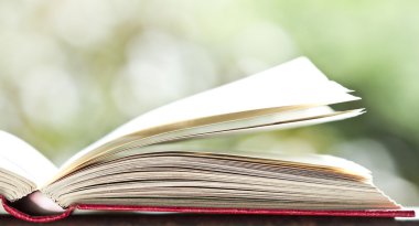 Açık kitap
