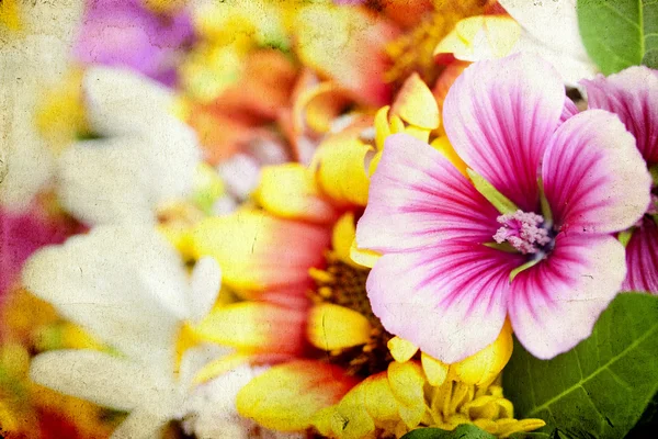 Buquê colorido — Fotografia de Stock