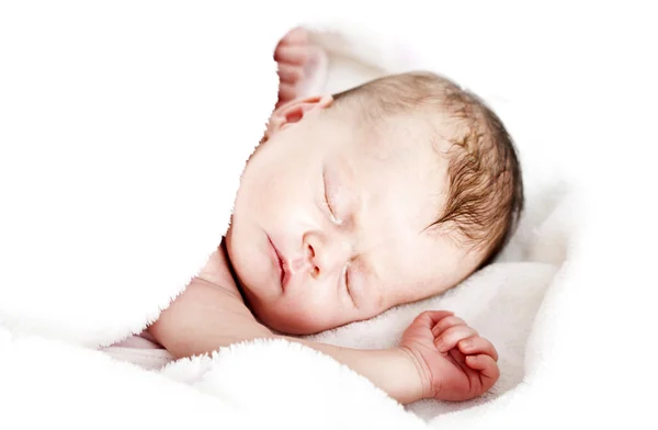 Newborn baby peacefully sleeping — Stock Photo, Image