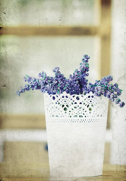 Lavanda — Foto Stock